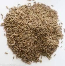 Cumin Seeds