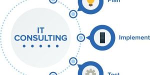 IT Consulting