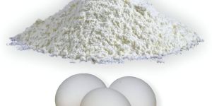 Egg Shell Powder