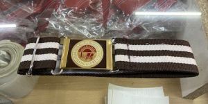 Brass Buckle School Belt
