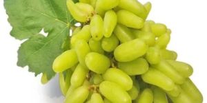 Super Sonaka Grapes