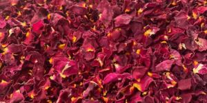 Dry Rose Petals