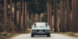 Domestic Travel Agency