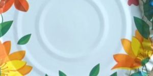 All Kind of Paper Plate