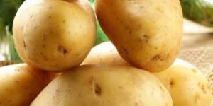 Badshah Potatoes