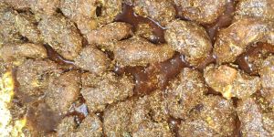 Mutton Pickle