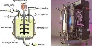 Fermenter Vessel