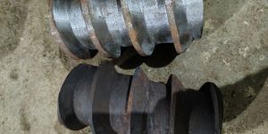 Oil Expeller Worm 32patti