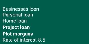 Business Loan Services