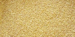 Foxtail millet rice - unpolished