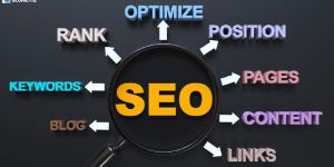 Search Engine Optimization Services