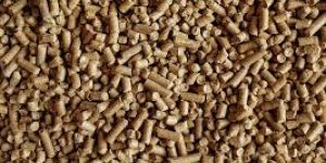Dairy Cattle Feed