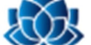 Wellness Program Services