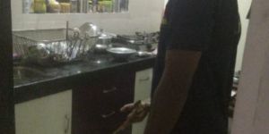 Cockroaches Pest Control