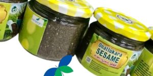 Onattukara Sesame Seeds