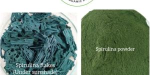Spirulina Powder