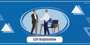 Llp Registration Service