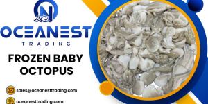 Frozen Octopus