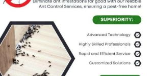 Ant Control