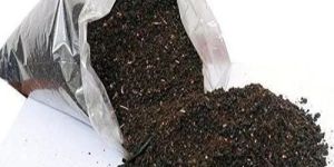 Black Pepper Husk