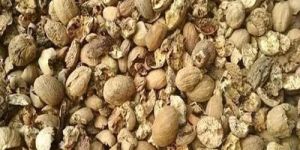 Broken Nutmeg