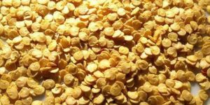 Chilli Seeds