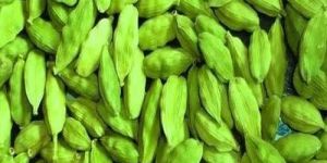 Green Cardamom Pods