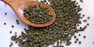 Green Pepper Seeds