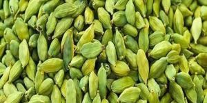Organic Green Cardamom