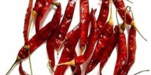 Red Chilli with Stem