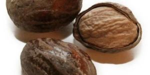 Shelled Nutmeg