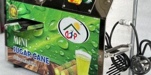 Mini Sugarcane Juice Machine