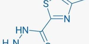 3-Methyl-1,2,4-thiadiazole-5-carbohydrazide