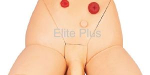Male Catheterization Training Simulator