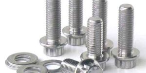 Stainless Steel Fastener