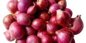 Fresh Small Onion