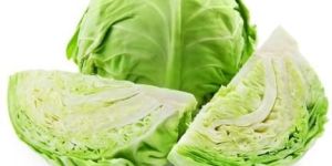 Cabbage