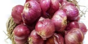 Sambhar Onion