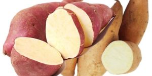 Sweet Potato