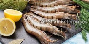 Tiger Prawns