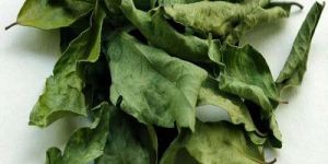 Dehydrated Curry Leaves