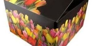 Multi Color Duplex Corrugated Box