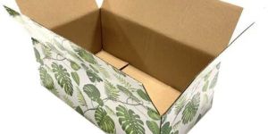 Multicolor Offset Printed Corrugated Box