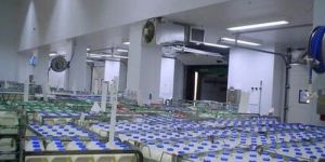 Milk Cold Room Storage Services