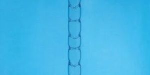 Fractional Column Laboratory