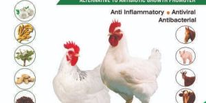 Antimicrobial Growth Promoter