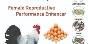 Female Reproductive Performance Enhancer