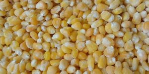 Frozen Sweet Corn