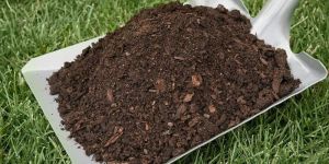 Bio-Tech Vermicompost Fertilizer