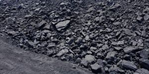 Steam Coal
